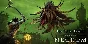⭐️TESO Online Collection: Necrom Steam-Gift⭐️