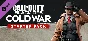 Call of Duty®: Black Ops Cold War - Starter Pack DLC
