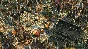 Anno 1404 History Edition ✅Аренда 120 дн ✅Русский (PC)