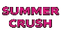 🔥 Summer Crush | Steam Россия 🔥
