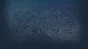 🔥 Startup Panic | Steam RU+UA+KZ+CIS 🔥