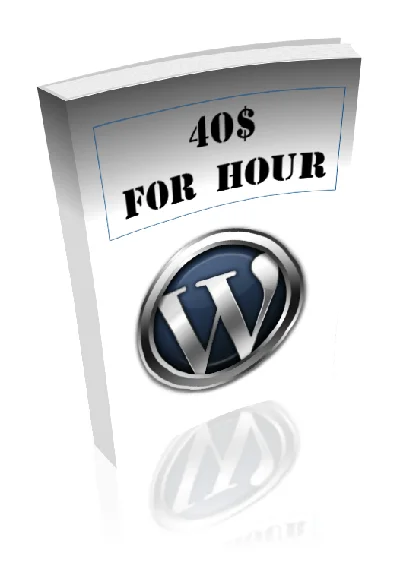 Course: "1200 rubles per hour for the installation of WordPress»