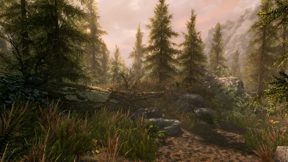 The Elder Scrolls V: Skyrim Anniversary Edition