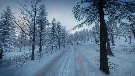 DiRT Rally 2.0 - Sweden (Rally Location) DLC