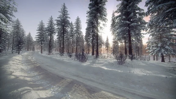 DiRT Rally 2.0 - Sweden (Rally Location) DLC