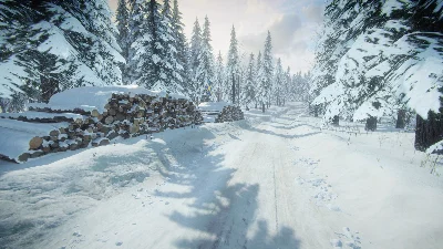 DiRT Rally 2.0 - Sweden (Rally Location) DLC