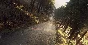 DiRT Rally 2.0 - Colin McRae: FLAT OUT Pack DLC