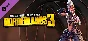 Borderlands 3: Amara Final Form Pack (Steam Gift RU)
