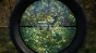 theHunter Call of the Wild | EPIC GAMES ACCOUNT EMAIL