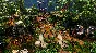 🌟 Age of Empires III DE Mexico Civilization 🥇 DLC