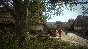 KINGDOM COME: DELIVERANCE - ROYAL EDITION XBOX
