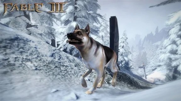 Fable III - Dog Breed Set DLC (Steam Gift Region Free)