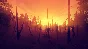 ⚡️Steam gift Russia - Firewatch | AUTODELIVERY