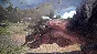 MONSTER HUNTER: WORLD XBOX ONE SERIES X|S KEY