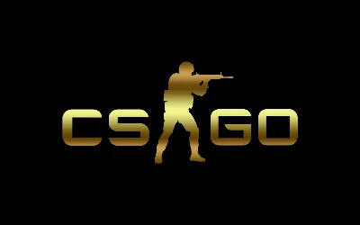 Steam account 100 hours in CS:GO for Faceit