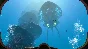 Subnautica XBOX ONE/SERIES X/S КЛЮЧ