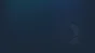 🔥 The Grey Dream | Steam РУ+UA+KZ+СНГ🔥