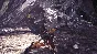 Monster Hunter: World ⚡️АВТО Steam RU Gift🔥