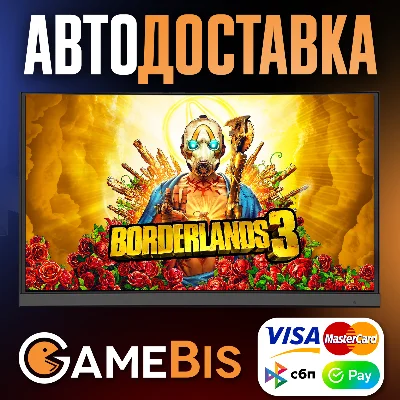 ⚡BORDERLANDS 3 - ANY VERSION[RU]🌍AUTO🚀💳0%