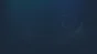 🔥 Skully | Steam RU+UA+KZ+CIS 🔥