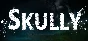 🔥 Skully | Steam RU+UA+KZ+CIS 🔥