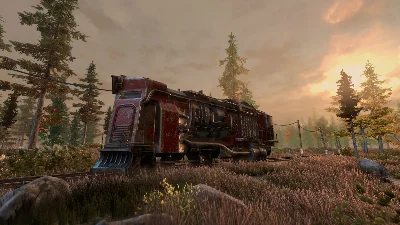 New Cycle - Supporter Pack DLC * STEAM RU ⚡ АВТО 💳0%