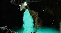 ✅Conrad Stevenson’s Paranormal P.I.⚡Steam\Global\Key+🎁