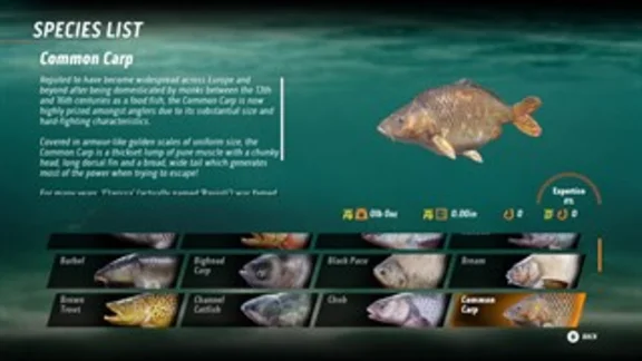 The Catch: Carp & Coarse Fishing XBOX Key