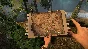 ✅Green Hell VR ⭐Gift Meta Quest 2\3\Pro⭐ + 🎁