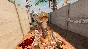 ✅Arizona Sunshine 2 VR ⭐Oculus Quest 2\3\Pro Meta Gift⭐