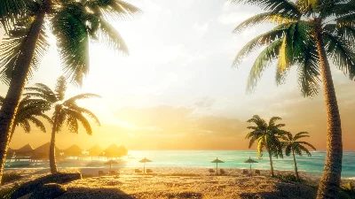 ✅Guided Meditation VR ⭐Gift Meta Quest 1\2\3\Pro⭐ + 🎁