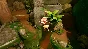 ✅Moss VR ⭐Gift Meta Quest 1\2\3\Pro⭐ + 🎁
