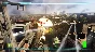 ⭐Tom Clancy´s Ghost Recon Advanced Warfighter 2 XBOX⭐#
