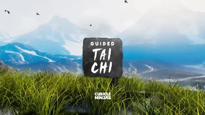 🟦Guided Tai Chi VR 🔥Oculus Quest 1\2\3\Pro🔥Gift +🎁