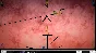 Bloop ( Desura Key / Region Free )
