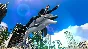 Like a Dragon: Infinite Wealth - Special Outfit: Hello 