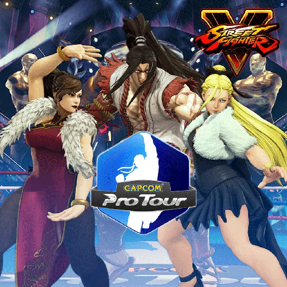 Street Fighter V - Capcom Pro Tour 2016 Pack STEAM⚡️