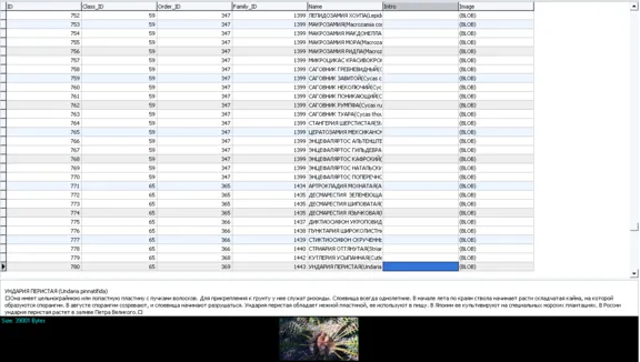 MySQL dump базы данных энциклопедия растений и животных