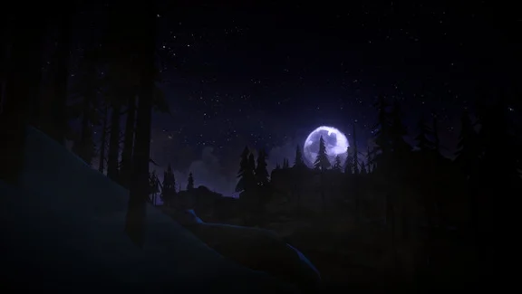 ⚡Gift Russia - The Long Dark: Survival Mode| AUTO Steam
