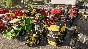 Farming Simulator 19 (Epic account) Multilanguage