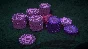 ❗PURE HOLD’EM: JACKPOT BUNDLE❗XBOX ONE/X|S🔑КЛЮЧ❗