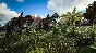 ✅ ARK: ULTIMATE SURVIVOR EDITION ❗ XBOX One / X|S 🔑