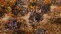 ❗SPELLFORCE 3: SOUL HARVEST❗(PC WIN)🔑КЛЮЧ❗