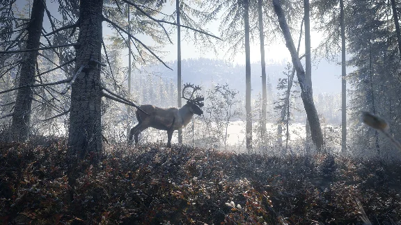 ❗THEHUNTER: CALL OF THE WILD - MASTER HUNTER❗PC (WIN)🔑