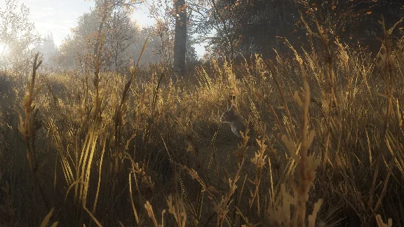❗THEHUNTER: CALL OF THE WILD - WINDOWS 10❗(PC WIN)🔑KEY