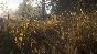 ❗THEHUNTER: CALL OF THE WILD - WINDOWS 10❗(PC WIN)🔑KEY
