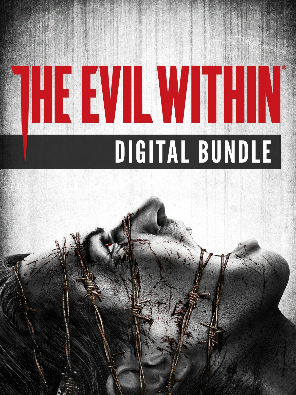 🎁The Evil Within Bundle🌍МИР✅АВТО