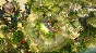 Defenders of Ardania (Steam key / Region Free)