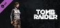 Tomb Raider: Mountaineer Skin (Steam Gift Россия)
