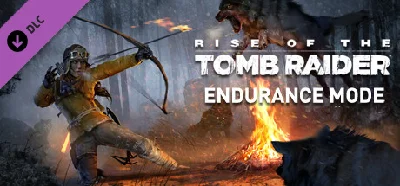 Endurance Mode (Steam Gift RU)